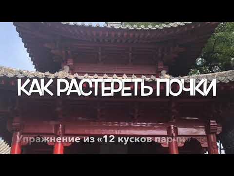 Видео: Точка шэнь-шу. Как растереть почки.  Упражнение из курса «12 кусков парчи» - Дарья Патока