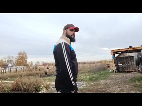 Видео: Здоровимся.