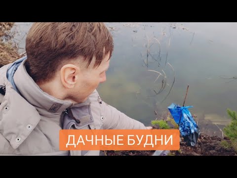 Видео: Дачные будни весной в Сибири