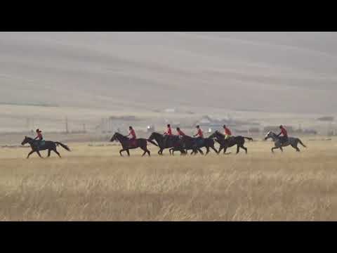 Видео: Жорго Салыш 09 10 2021 Кара Кужур.