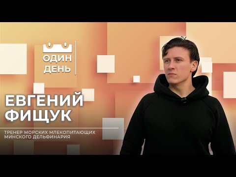 Видео: Один день в Минском дельфинарии | Евгений Фищук