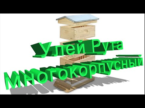 Видео: Профессор Кашковский про улей Рута (многокорпусный)