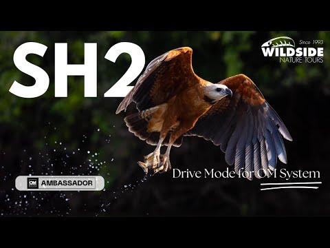 Видео: Режим привода системы OM SH2 для OM-1 и OM-1 Mark II