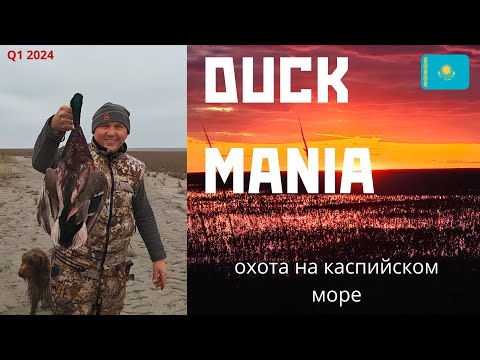 Видео: Duck Mania  выпуск #1.Охота на Каспии.