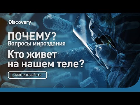 Видео: Кто живет на нашем теле? | Почему? Вопросы мироздания | Discovery