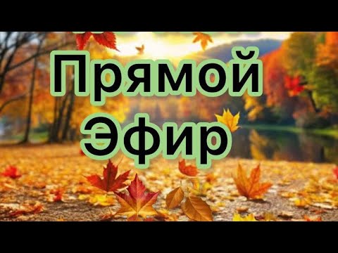 Видео: 🍁Прямой эфир 6.10.2025 🍁 Кофточки, Брюки 🍁 Ссылки в описании 👇👇👇