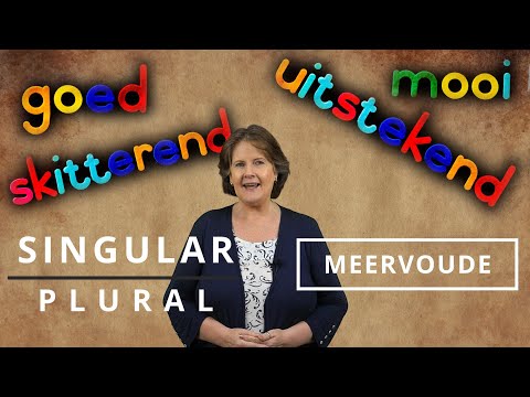 Видео: Как перевести слова в африкаанс из единственного числа во множественное — Meervoude — Часть 1