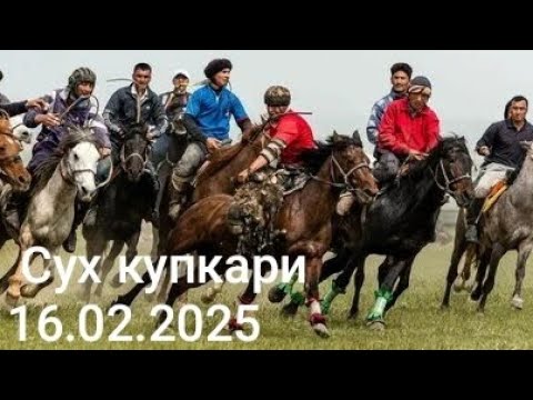 Видео: Сух купкари улок 16.02.2025