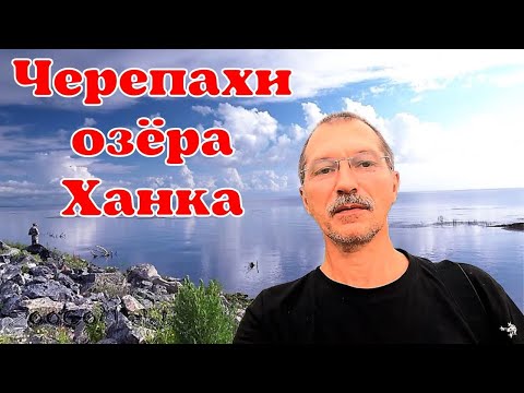Видео: Озеро Ханка и злые черепахи