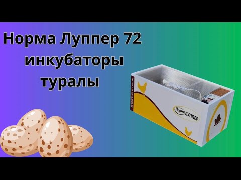 Видео: Секреты успеха в Бизнес Инкубаторе Норма Луппер 72 С10