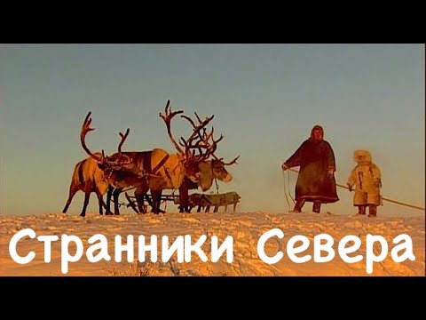 Видео: Странники Севера