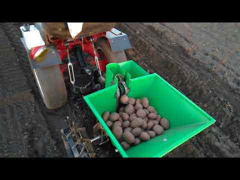 Видео: испытания картофелесажалки(что смогла снять жена))!