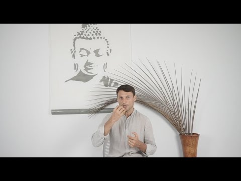 Видео: Питание тела. Общее. Часть 1