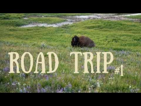 Видео: Roadtrip: Начало. Йеллоустоун и Гора Рашмор
