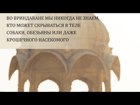 Видео: Вдохновение на Картику 2025 (день 25) от Е.С.Шачинандана Свами
