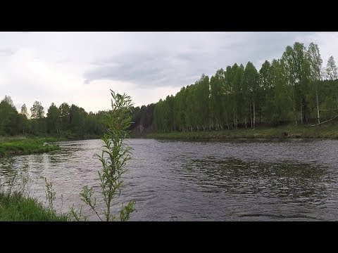 Видео: Чусовая: Вечер "молочных" голавлей