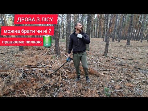 Видео: ТЯГАЄМО СУШНЯК З ЛІСУ, БЕЗКОШТОВНЕ  опалення будинку 😱 