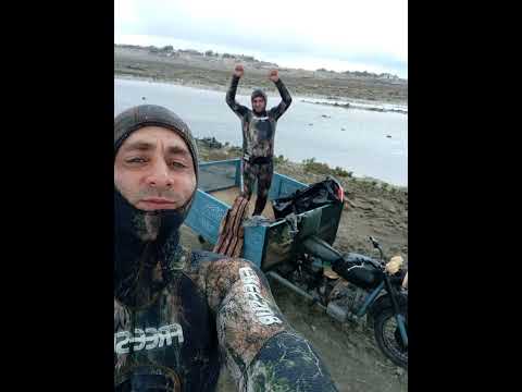 Видео: Подводная охота на кефаль остров жилой.Su alti baliq ovu kefal çilov adasi