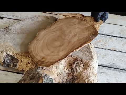 Видео: Огромная СУВЕЛЬ ДУБА! Покажу распил до и после сушки.