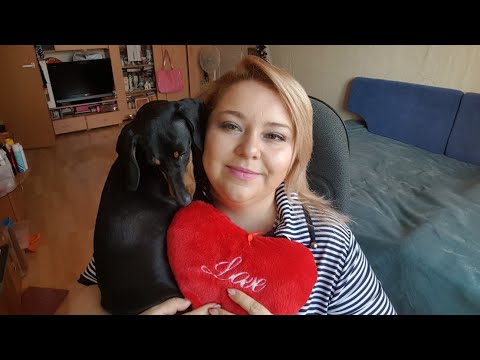 Видео: 14 февраля. Ошибки в воспитании щенков. моя такса.