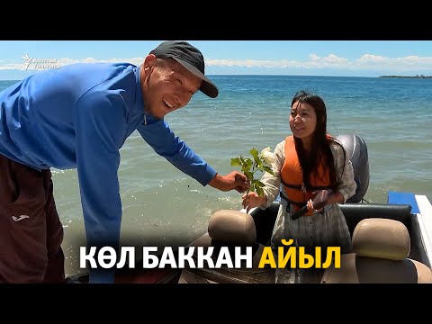 Видео: Көл баккан айыл