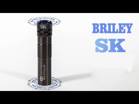 Видео: Beretta 690 Black Edition & BRILEY Skeet SK / ЧОКИ / ДУЛЬНЫЕ УСТРОЙСТВА