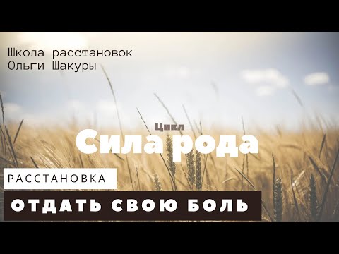 Видео: Расстановка отдать родовую боль и взять ресурс