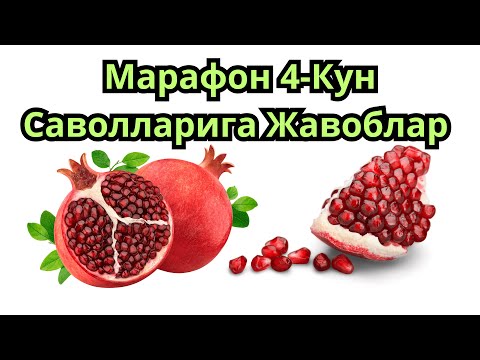 Видео: 4-КУН Саволларига Жавоблар: ДИАБЕТНИ ДАВОЛАШ МАРАФОНИ / ДИАБЕТНИ ДАВОСИ
