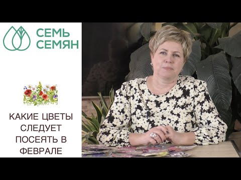 Видео: ЭТИ ЦВЕТЫ НУЖНО ПОСЕЯТЬ В ФЕВРАЛЕ!