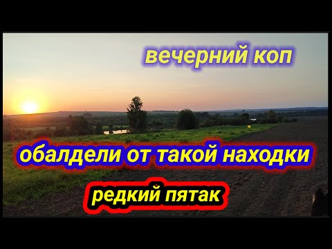 Видео: вечерний коп на распашке, редкая монета