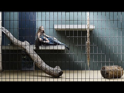 Видео: В будущем люди станут вымирающим видом и будут помещены в клетки зоопарка