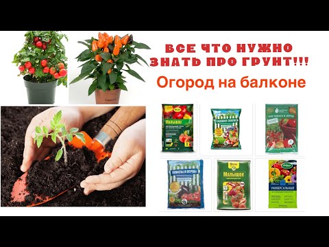 Видео: Грунт для огорода на балконе! Самое полезное видео про грунт и почвосмеси! Все прет как на дрожжах)