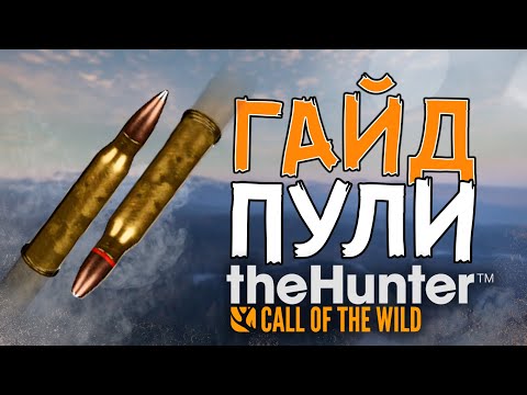 Видео: TheHunter Call of the Wild / Гайд / Пули / Как они работают / 2022 / Итоги розыгрыша