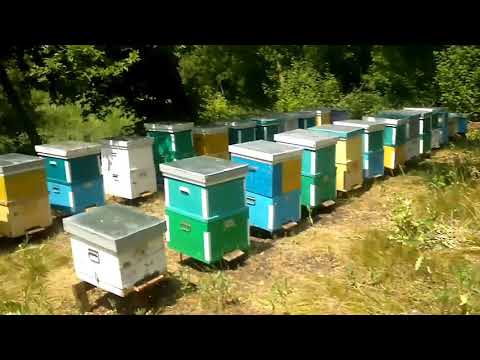 Видео: КОЧЕВОЙ ДОМИК ПЧЕЛОВОДА! сборка домика