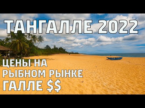 Видео: Пляж ТАНГАЛЛЕ ШРИ-ЛАНКА 2022. Обзор ЦЕН на рыбном рынке в ГАЛЛЕ. #шриланка
