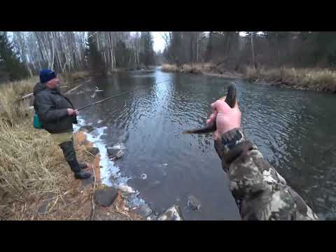 Видео: Ловля Хариуса Осенью в Октябре/ 6 км за Хариусом/ Мы не ОЖИДАЛИ ТАКОГО !!!!