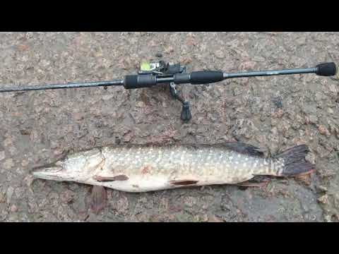 Видео: Спиннинг ОKUMA  PSYCHO - PERCH,  1 - 8г,  230см. Тест - драйв)  #рыбалка