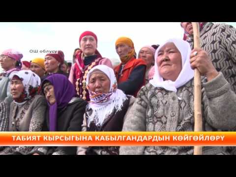 Видео: Чоң-Алай: табият кырсыгына кабылгандардын көйгөйү кандай чечилет?