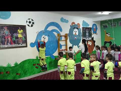 Видео: Денсаулық саласы  дене шынықтыру