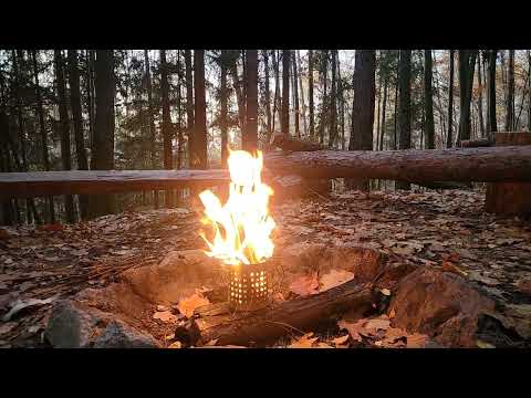 Видео: Relaxing video by the forest campfire/ Расслабляющее видео у лесного костра #forest #bushcraft #fire