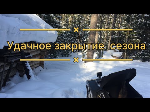 Видео: ЕДУ В ТАЙГУ ЗАКРЫВАТЬ КАПКАНЫ//УДАЧНОЕ ЗАКРЫТИЕ КАПКАНОВ/: