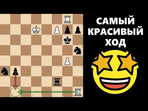 Видео: Самый красивый ход в истории! #шахматы #chess #этюды