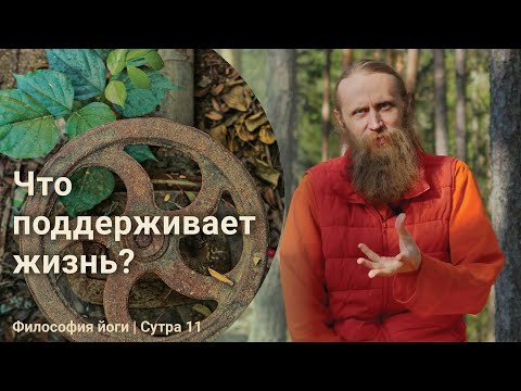 Видео: Что поддерживает жизнь? Наука и духовность будущего | Философия йоги. Сутры на санскрите (№11)