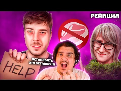 Видео: ▷ VEGAN TEACHER - РАЗБОР / ОНА ПРЕСЛЕДУЕТ МИСТЕРА БИСТА И ДРУГИХ | РЕАКЦИЯ на PhuntiQ