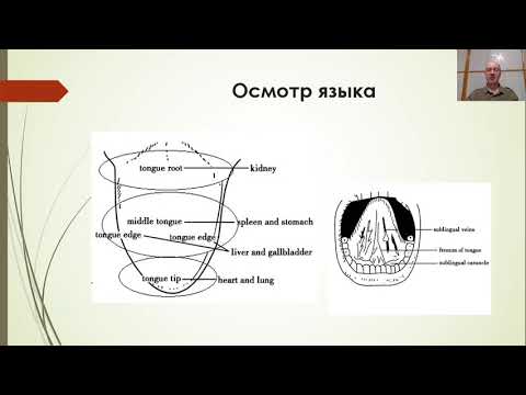 Видео: Гоголь И.А. Диагностика и пропедевтика традиционной китайской медицины.