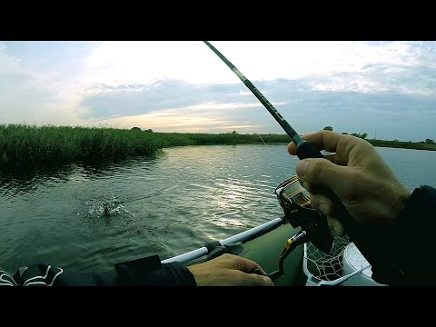 Видео: Пассивная щука и как её перехитрить / Рыбалка с лодки на твичинг и джеркинг
