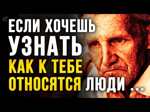 Видео: Ничего лишнего! Всё из Жизни! Мудрые Цитаты со Смыслом, до Слёз! Жизнь, люди, взаимоотношения