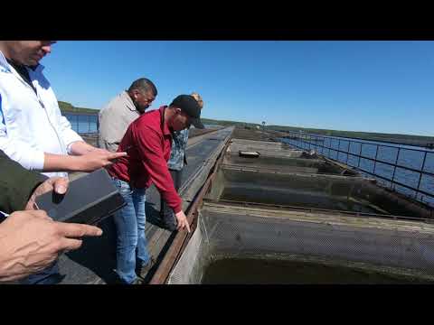 Видео: РЕФТИНСКОЕ ВОДОХРАНИЛИЩЕ