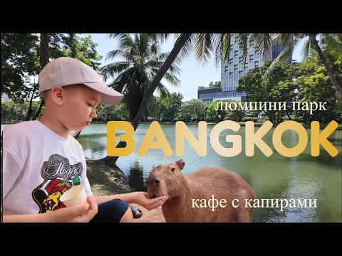 Видео: Прекрасный парк Люмпини с варанами, капибары лезут на руки