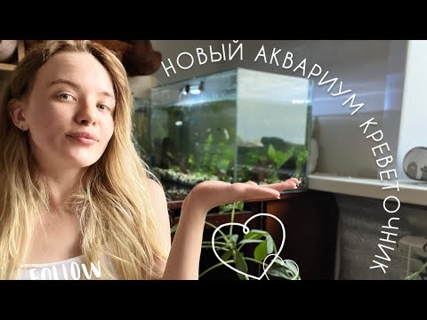 Видео: Новый АКВАРИУМ| Креветки переезжают | Прогулка по птичьему рынку |